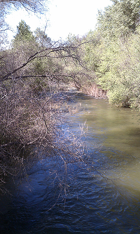 Carmel River