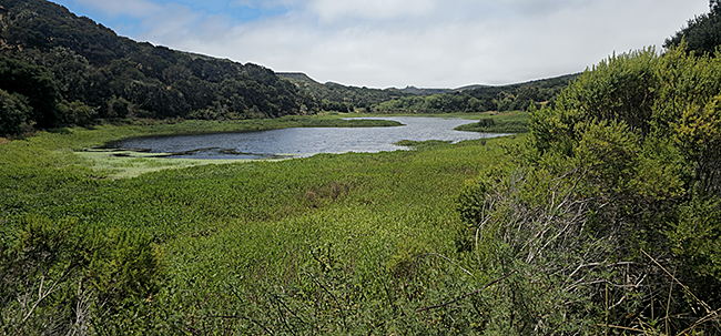 Mudhen Lake and Rim Trail Ramble