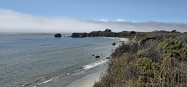 Andrew Molera State Park