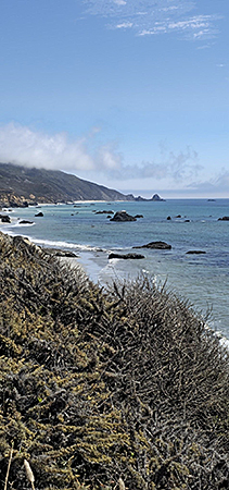 Andrew Molera State Park