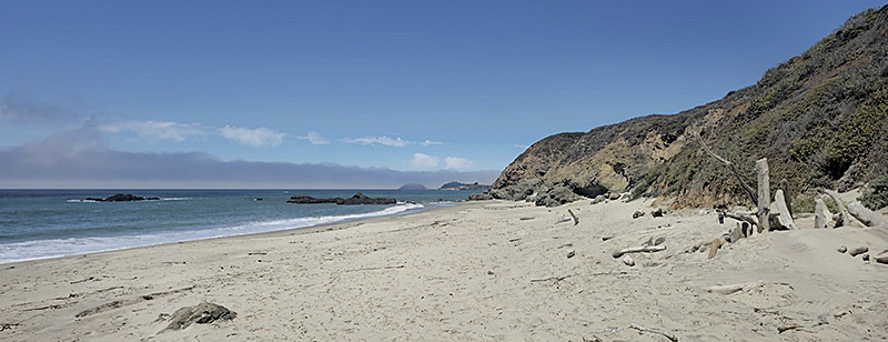 Andrew Molera State Park