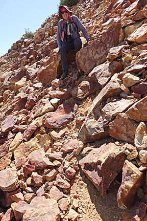 Richard Descending Bago