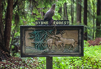 Byrne-Milliron Forest
