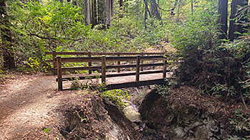Henry Cowell Observation Deck Loop