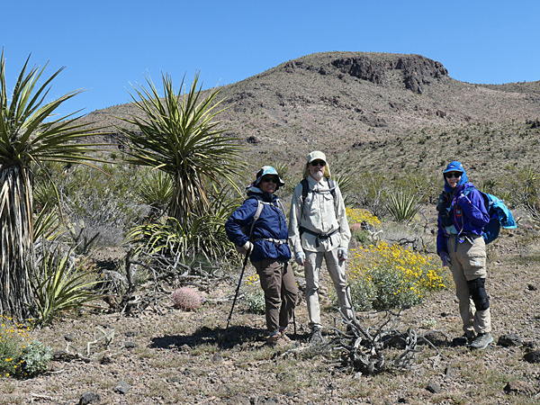 Tortoise Shell Mountain Hikers