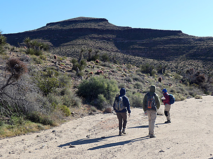 Torstoise Shell Mountain